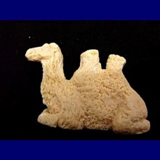 soap..Camel.