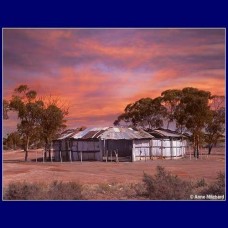 Photograph – Kalgoorlie Two-up Shed – print only